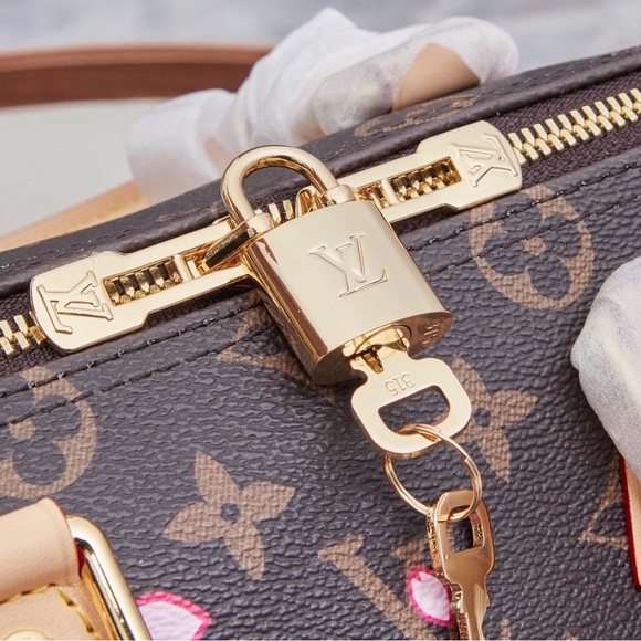 Louis Vuitton x Takashi Murakami Speedy - Picture 5 of 6